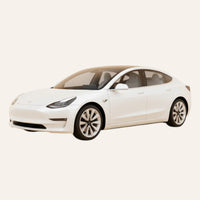 New Model 3-2024